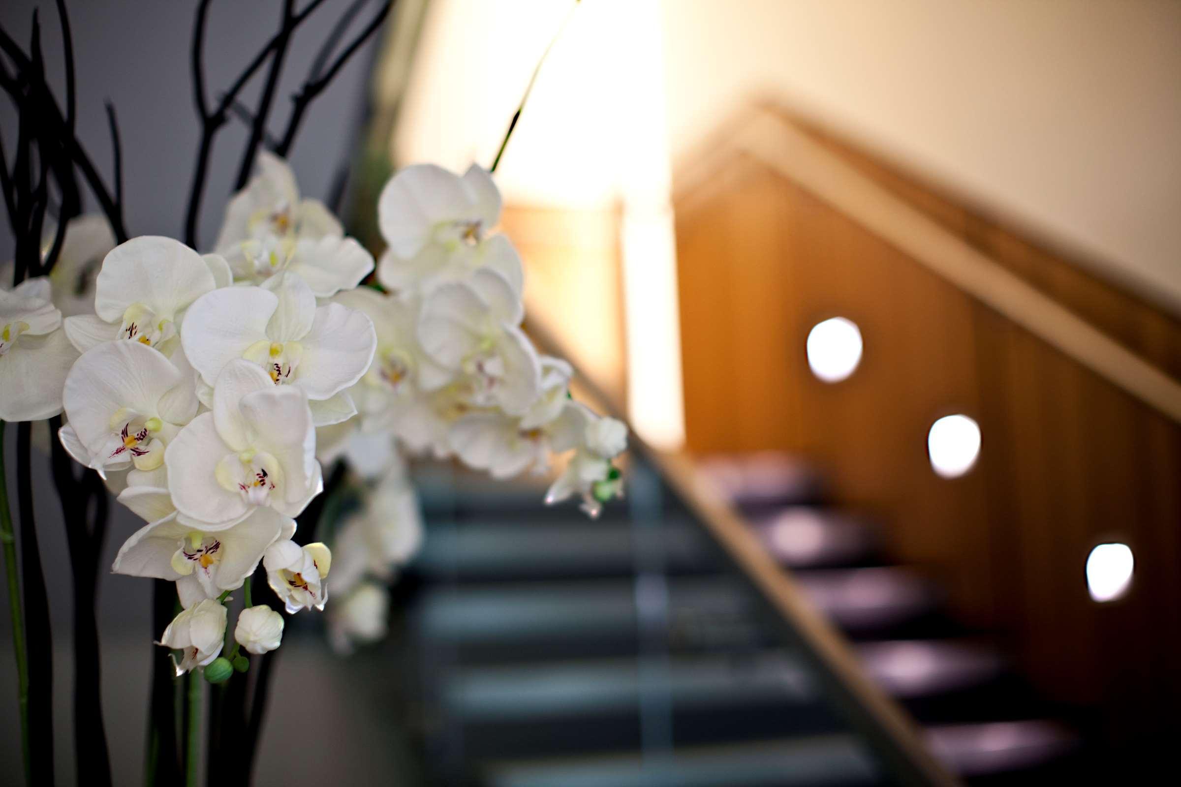 Hotel Hilton London Heathrow Airport Terminal 5 Hillingdon Zewnętrze zdjęcie